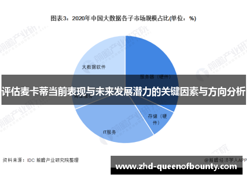 评估麦卡蒂当前表现与未来发展潜力的关键因素与方向分析 评估麦卡蒂当前表现与未来发展潜力的关键因素与方向分析