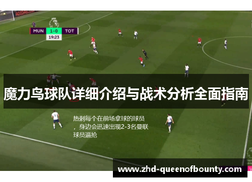 魔力鸟球队详细介绍与战术分析全面指南